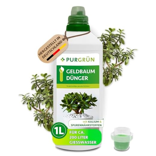 COMPO SANA Grünpflanzen- und Palmenerde mit 12 Wochen Dünger für alle Zimmer- und Balkonpflanzen sowie Palmen und Farne, Kultursubstrat, 10 Liter 15 Purgrün® Geldbaum-Dünger 1 Liter – Spurennährstoffe für gesundes Wachstum – Extra Kalium fördert die Widerstandskraft – Ergiebiges Konzentrat für 400 Liter Gießwasser – Premium-Flüssigdünger