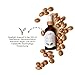 Veda Naturals® Arganöl (100ml) kaltgepresst – vegan – rein & natürlich (Argania Spinosa) aus Marokko – Laborgeprüft - Cosmos Natural certified