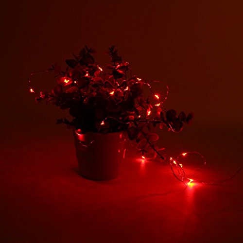 Greatangle-UK 3m 30 LEDs Pulsante a Batteria a LED...