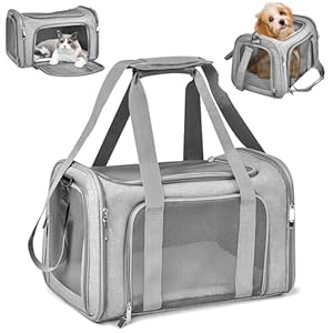 Sprifityy Sac de Transport pour Chat d&rsquo;Extérieur Pliable et Respirant, Caisse Avec Matelas Souple pour Chat et Chien, Voyage en Train/Voiture (Gris, 45x30x30 cm)