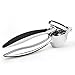 Eddi Manual Garlic and Ginger Press - Premium Quality Znic Alloy Mincer - Crush Garlic Cloves & Ginger with Ease, Silver