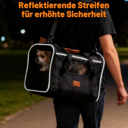 Faltbar Transportbox Katzen, Katzentransportbox mit Sicherheit Reißverschlüsse, Napf, Wendekissen, Katzen Transportboxen für kleine bis mittelgroße Katzen und Welpen bis 7 kg