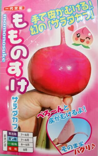 〈小袋〉カブ種【 もものすけ 】ナント種苗のサムネイル