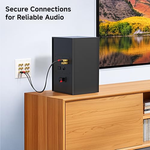 image for Cable Matters Double Gang Speaker Wire Wall Plate, Gold Plated Speaker