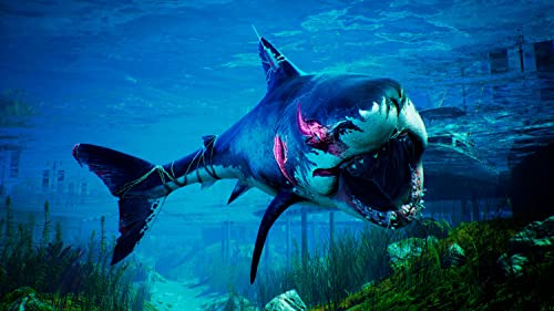 Jeu PS4 Maneater Version Import Action Blu Ray PEGI 18+ - vue 3