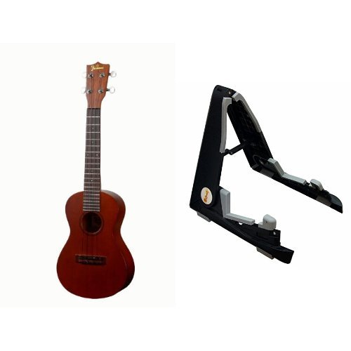 y X^hZbg z Famous Ukulele ( tFC}X EN ) FC-3 RT[g TCY