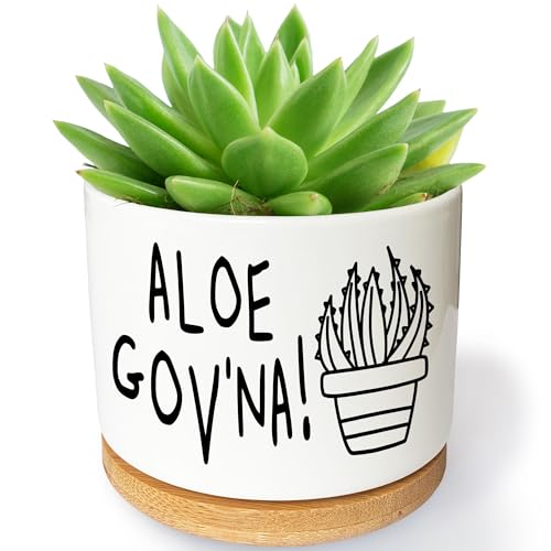 Comparison: Best Pot For Aloe 11 Bttwkco Aloe Gov'na - Funny Succulent Pots, 3.5 inch Ceramic Aloe Vera Plant Pot, Cute Cactus Planter with Drainage, Plant Gifts for Women Friends Plant Lover