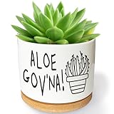 Bttwkco Aloe Gov'na - Funny Succulent Pots, 3.5 inch Ceramic Aloe Vera Plant Pot, Cute Cactus Planter with Drainage, Plant Gifts for Women Friends Plant Lover