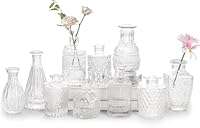 Glas-Budenvasen-Set mit 10 Stück, Mini-Klare Budenvase für Großbestellungen, Kleine Vintage-Blumenvasen für Hochzeiten, Partys und dekorative Tischdekoration zu Hause