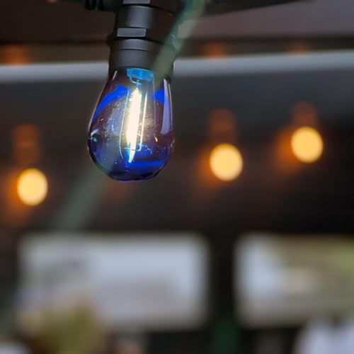 Ampoule LED basse tension 12V LightsOn Deco E27 bleue à intensité variable lot de 5