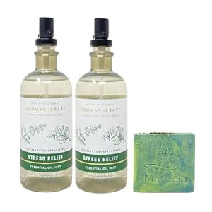 Bath & Body Works Aromatherapy Eucalyptus + Spearmint Stress Relief – 2 Pack of Essential Oil Mist with a Fresh Forest Bar Soap – Full Size