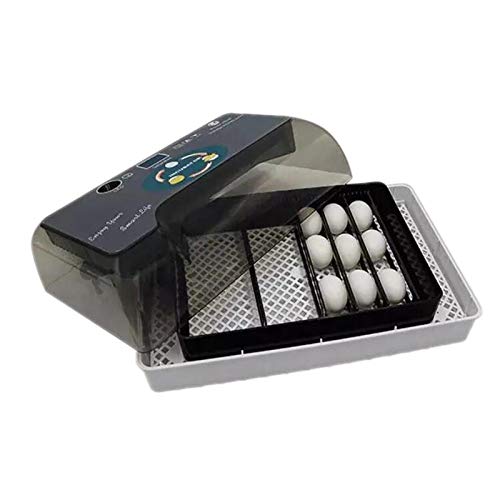 Incubatrice,Incubatrice Automatica Display Digitale Piccolo Ventilatore Incorporato Temperatura Regolabile Incubatrice Uova per 12 Uovoa, 9 Uova di Anatra, Quaglia