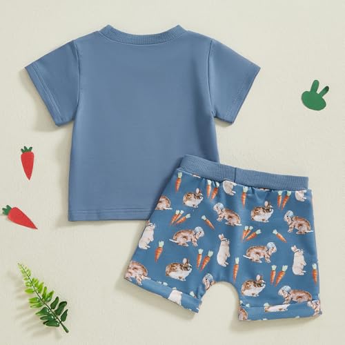 Toddler Baby Boy Girl Easter Outfit Bunny Shorts Set Infant Rabbit Short Sleeve Shirt Summer Cute Clothes (Blue,2-3T)