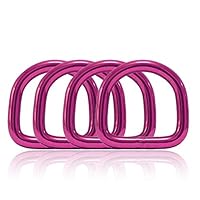 5 D-Ringe Aus Nickelstahl - Rostfrei & Stabil Für Halsbänder & Bastelprojekte