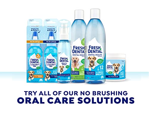Naturel Promise Fresh Dental Oral Care Spray For Pets, 4Oz, Fresh Mint - Dog Breath Freshener Made In Usa With No Brushing Required To Eliminate Bad Breath Fast - Fresh Breath Spray For Dogs & Cats #TOP6