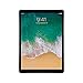 Apple iPad Pro 12.9-Inch 64GB Space Gray (WiFi Only, Mid 2017) MQDA2LL/A