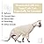 Hjumarayan Sphynx Cat Clothes Summer Pet Clothes for Cats, Soft cat T-Shirt Stretch Tank Hairless Cat Vest with Long Sleeve, Cat's Pajamas for Sphynx, Cornish Rex, Devon Rex, Peterbald(Yellow, XS)