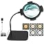 Black Round Desk Magnifier (No Adapter)