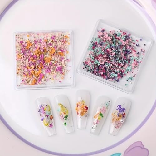 Powpop P245 3D Dried Flowers For Nails, Spring Flower Nail Art Stickers 1Box Dried Flowers For Resin Crafts Colorful Small Natural Floral Dried Flower Decals thumb #1