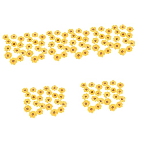 Flores secas prensadas Margaritas para manualidades 120 pcs miniatura 1