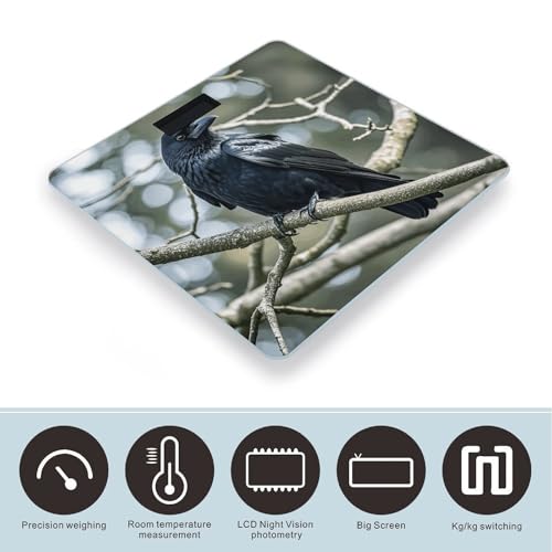 Báscula digital de baño con pantalla LCD y vidrio templado miniatura 3