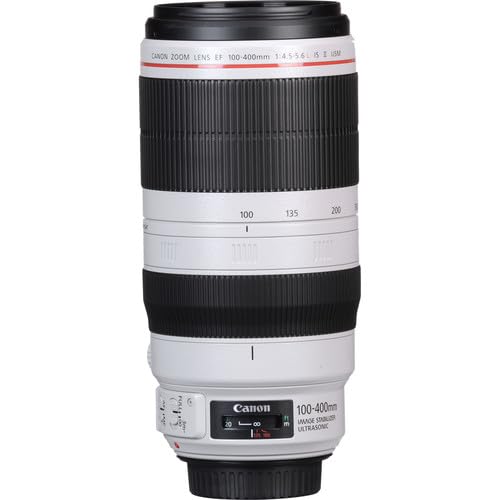Canon RF 100-500mm lens
