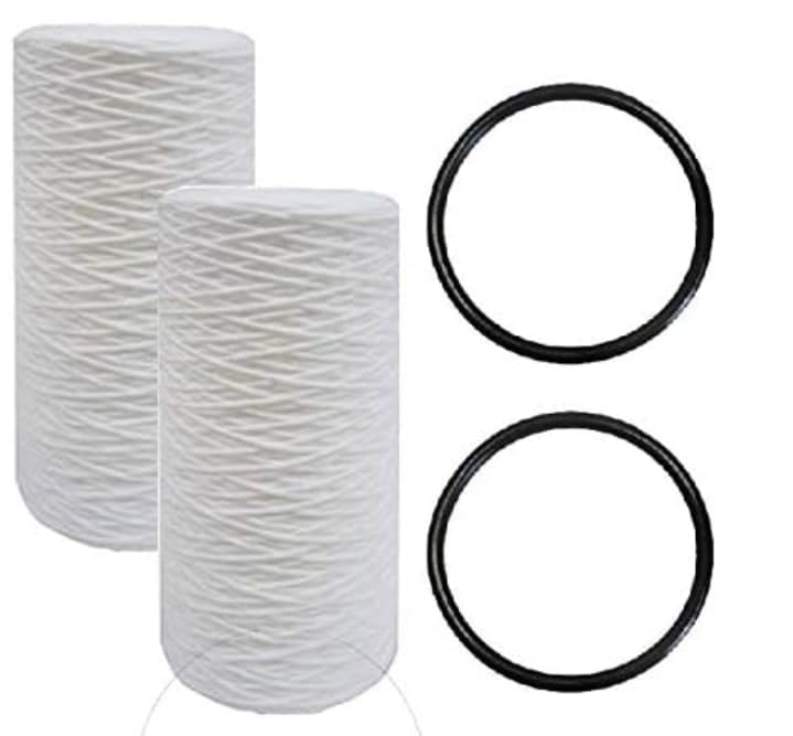 CFS Complete Filtration Services EST.2006 Lot de 2 filtres de remplacement pour PC40 et 25,4 cm Lot de 2 filtres à sédiments 5 microns