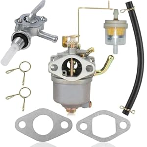 ZAMDOE Carburateur pour Einhell STE 800, STE 8000/1, STE 800/1, BEX/1, BT-PG850/2, BT-PG850/3, STE 850 groupes électrogènes pour Güde GSE 950 ET950 pour Bituxx 850 W pour Westcraft WK-950W carburateur
