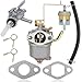 ZAMDOE Carburetor Replacement for Einhell STE 800, STE 8000/1, BT-PG850/2, BT-PG850/3, STE 800 GB Ex, BSE 800-41,ST 8000, STE 850 Power Generator for Yellow Profi Line YPL 780 generator