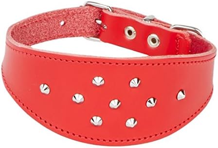 Dingo Decorative Red Leather Collar with Studs for Hound, Whippet, Pariah, Sighthound, Pointer and Other Gun Dog Breeds 12397