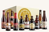 Cervezus Combo Belgas I (Pack 10 variedades)