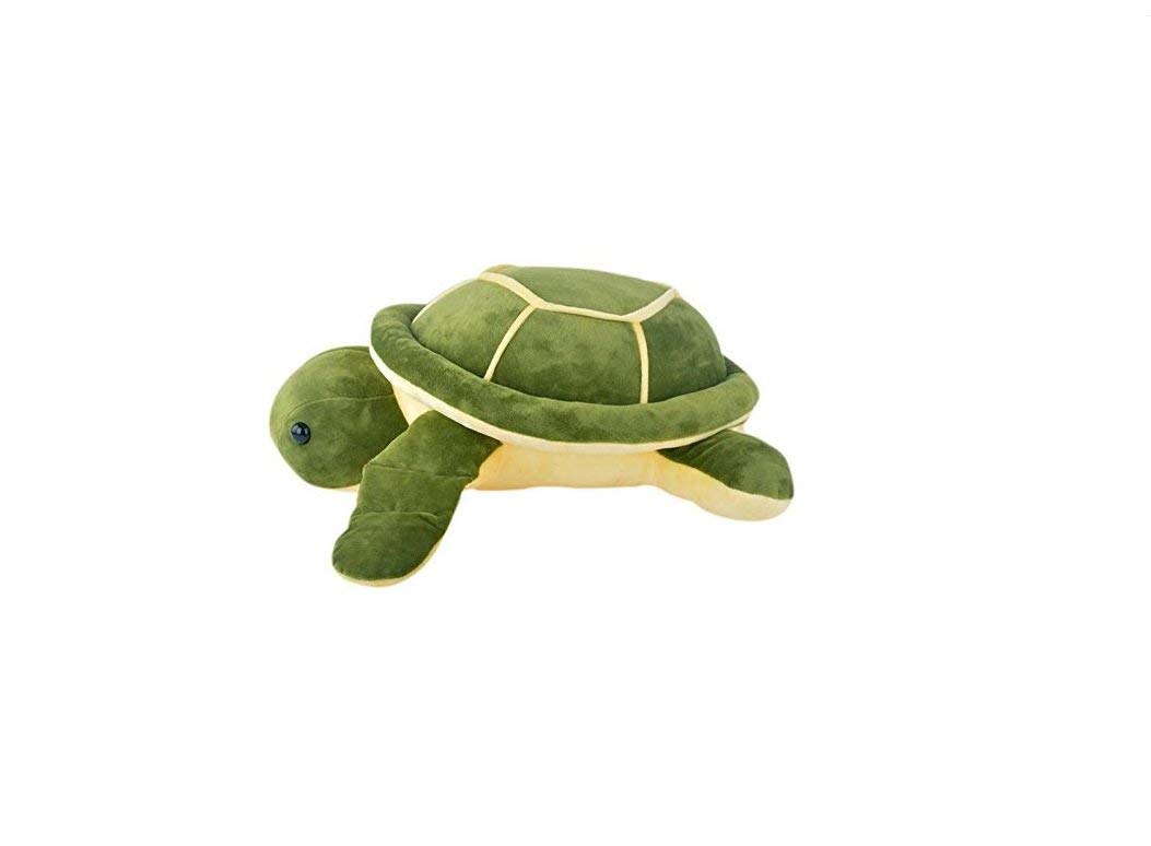 Buy CUTEPIRATE Toys Cute Green Extra Small Turtle Soft Toy Plush