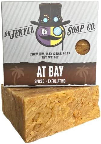 DR. JEKYLL Bar Soap for Men, 5 Pack - Quality Men's Bar Soap, Masculine Scent, No Harmful Chemicals - Aloe Vera and Jojoba Oil - Natural and Organic Ingredients, Formulated & Handcrafted in the USA - At Bay, 6 oz Each, Pack of 5