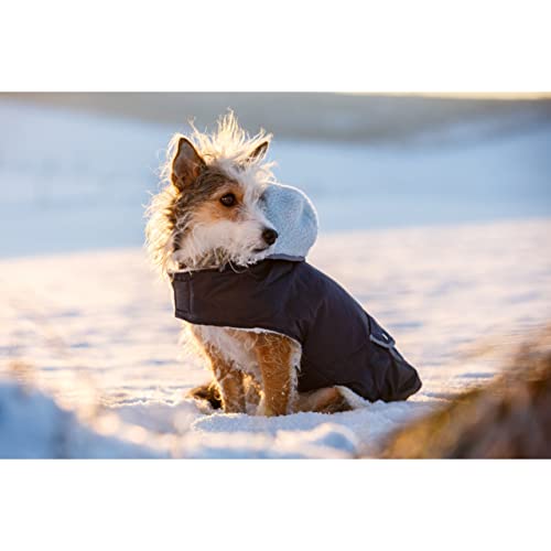 Hundemantel TEDDY 27 cm Bauchumfang 32-43cm