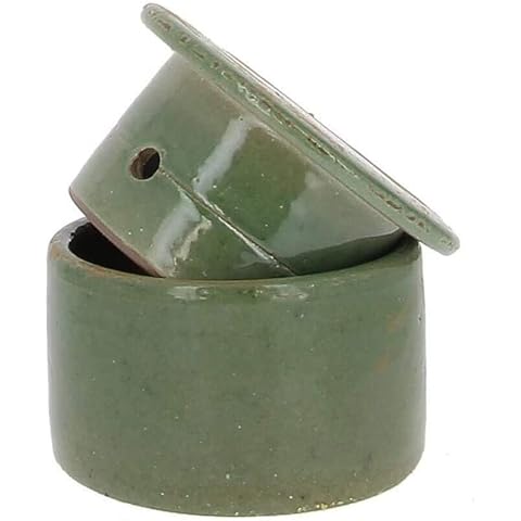 Beurrier Turgis Vert 210 Cover