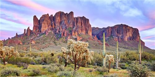 MIRRORANG 120x61cm Terrarium Background Blue Sky Cloud Mountain Huge Cactus Joshua Trees Oasis Gobi Reptile Habitat Background Durable Vinyl Background