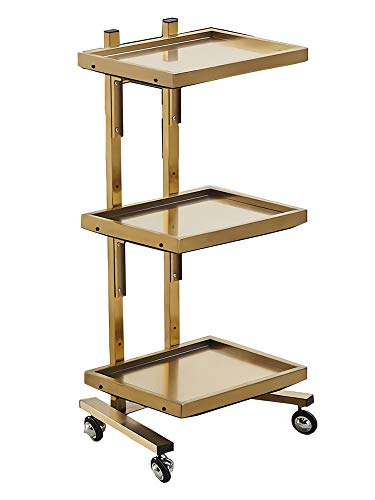 DFEDHF Hairdressing Stainless Steel Cart,Beauty Salon Stroller Japan Hair Salon Tool Cart Folding Table Trolley H/Silver/M(Golden-Medium)