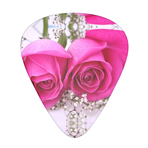 Ensemble de 12 médiators de guitare Pink Rose pour guitare acoustique, guitare électrique, contrebasse, ukulélé - Les Beatles, Paul McCartney, John Lennon, RIngo Starr, George Harrison Ensemble de 12 médiators de guitare Pink Rose pour guitare acoustique, guitare électrique, contrebasse, ukulélé