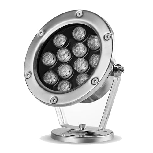 Éclairage sous-marin LED DC12/24V étanche pour sécuriser vos bassins