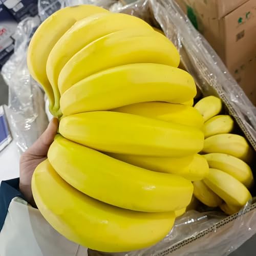 semi di banane - banane - decorazione di banana, appartamento, colonnari, 90pcs