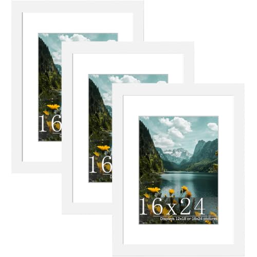 Image of Picrit 16x24 White Picture Frame, Poster Frame for Wall, 3 Pack
