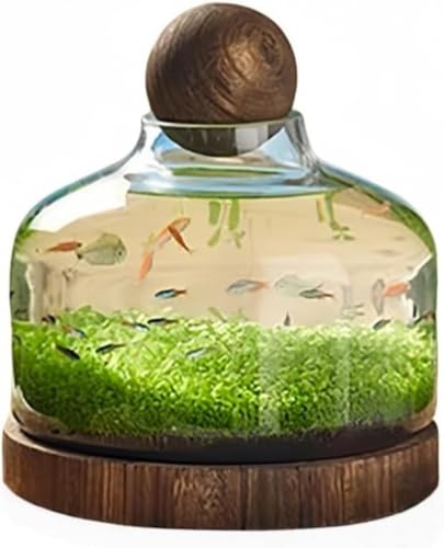 Vilom ؐx[Xt KX  ^ Ϗ܋ r k͔| ԕr CeA KXe Ri fBXvC  (32*27cm)