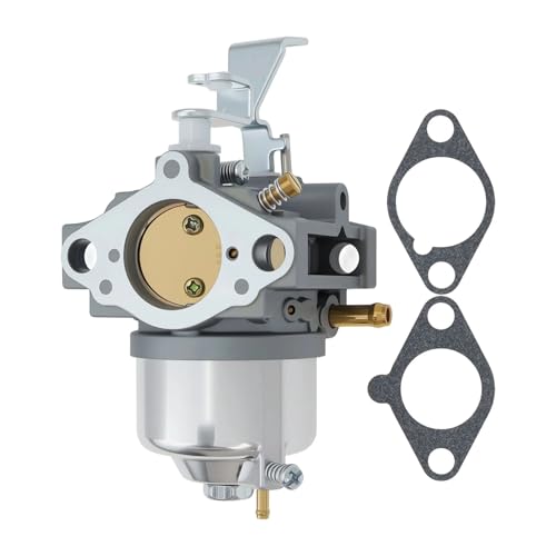 Carburateur moto pour réparer moteur Br St 716116 entretien pelouse