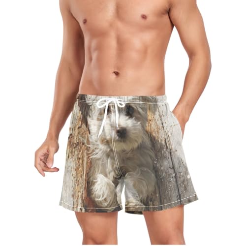 Traje de baño de secado rápido para hombre con estampado 3D de perro maltés 4