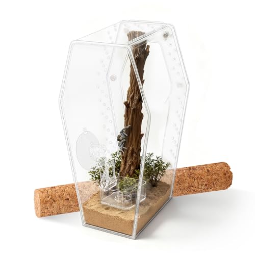 Dmnnlp Jumping Spider Enclosure, Magnetic Door Acrylic Terrarium with Feeding