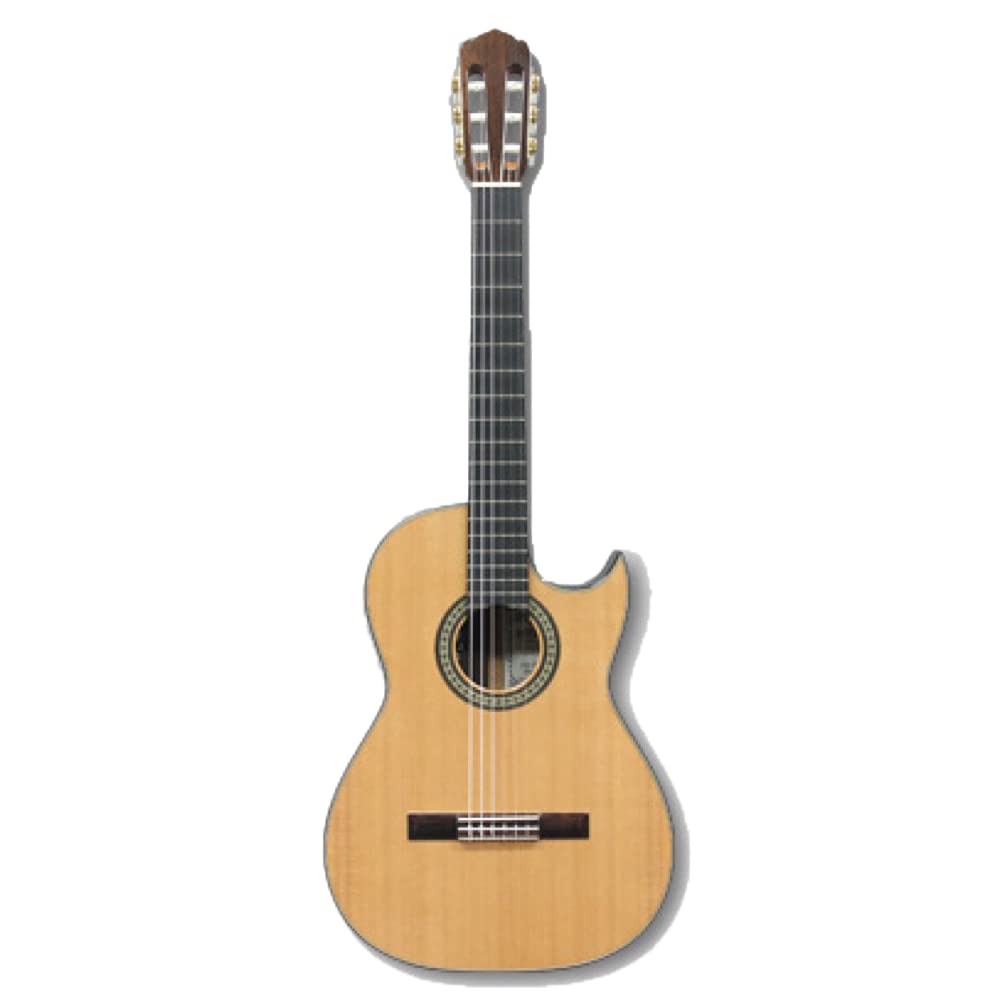 Asturias Solo Classico Premio/s