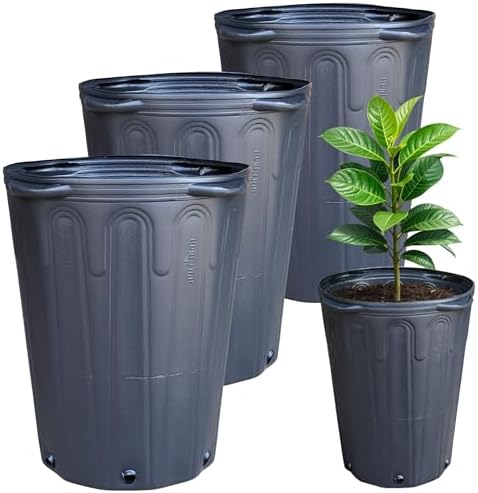 Kit 3 Vaso Embalagem 21 Litros Flexível com Alça para Árvores Fru...