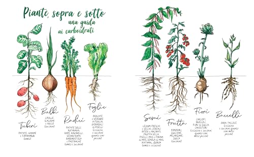 Sale, Grassi, Acidi, Calore. I Quattro Elementi Della Buona Cucina - 12