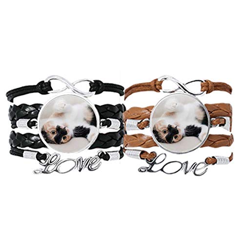 Bracelet en cuir avec corde et rayures pour chat bijou animalier