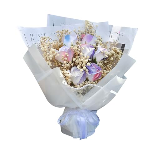 MAIBED  o J[l[V  񂰑ܕt \[vt[ u[P t[AWg o^Cf[ ̓ v[g (R) [sAi]